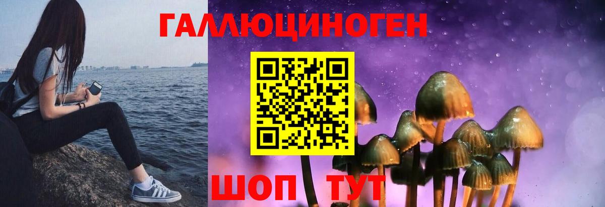 Галлюциногенные грибы Psilocybine cubensis Вольск